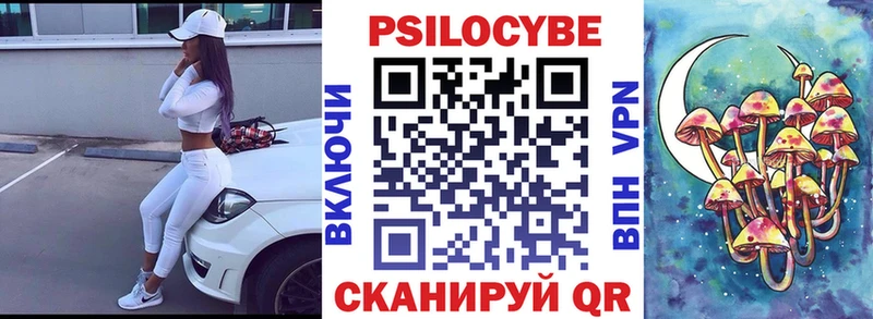 где продают MEGA как зайти Псилоцибиновые грибы Psilocybine cubensis Звенигово